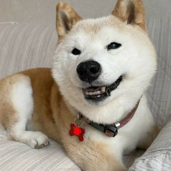 Cf06d870 96bb 4051 9d90 8a7fe6953f80 1629546546093