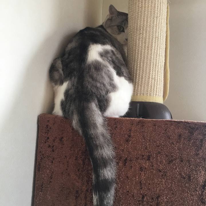 Cf06dd03 a138 427d 9ea8 4968e4afd09f 1516148643088