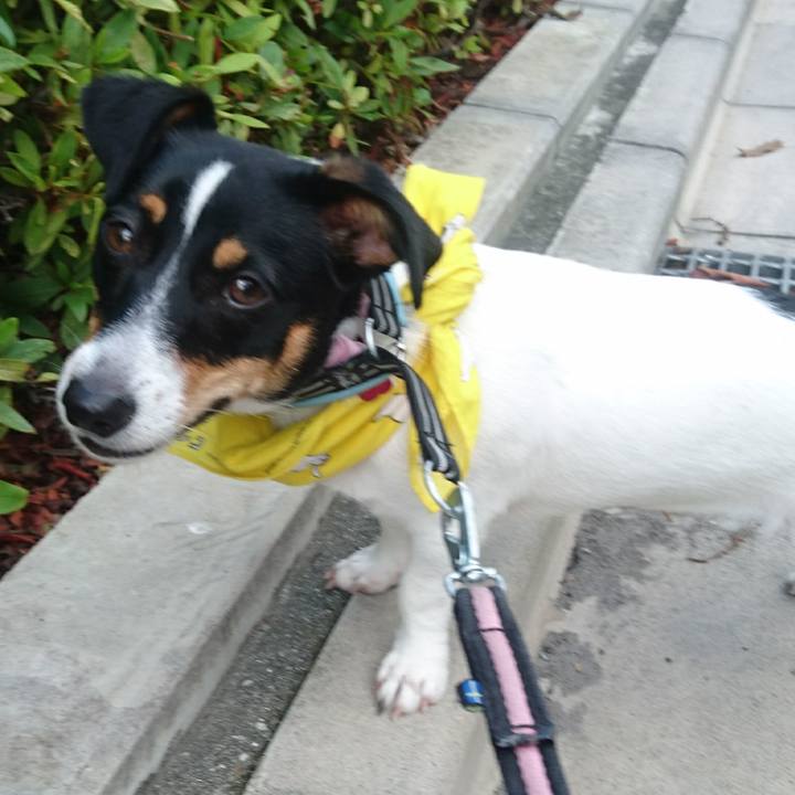 Cf070140 a6cc 4133 8c08 0d320904b830 1532988981662