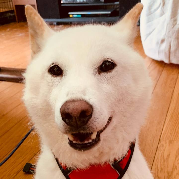 Cf072881 80b5 403a 8ba2 8ac87d94f3b6 1657317308363