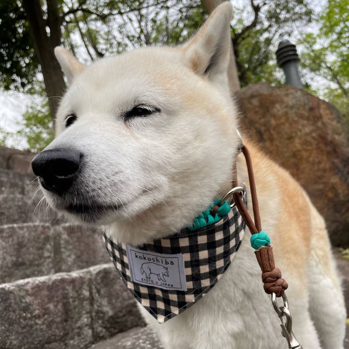 Cf0745cb 3c83 4b02 a292 6048ee00f8d4 1650496215055