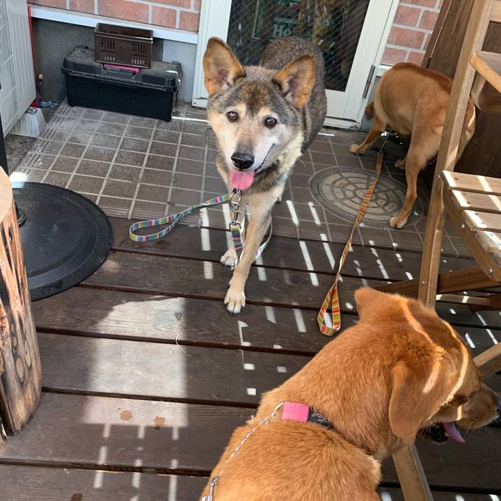 Cf07648b 5bfb 41ea 9dab fbfb0389bfba 1569205853245