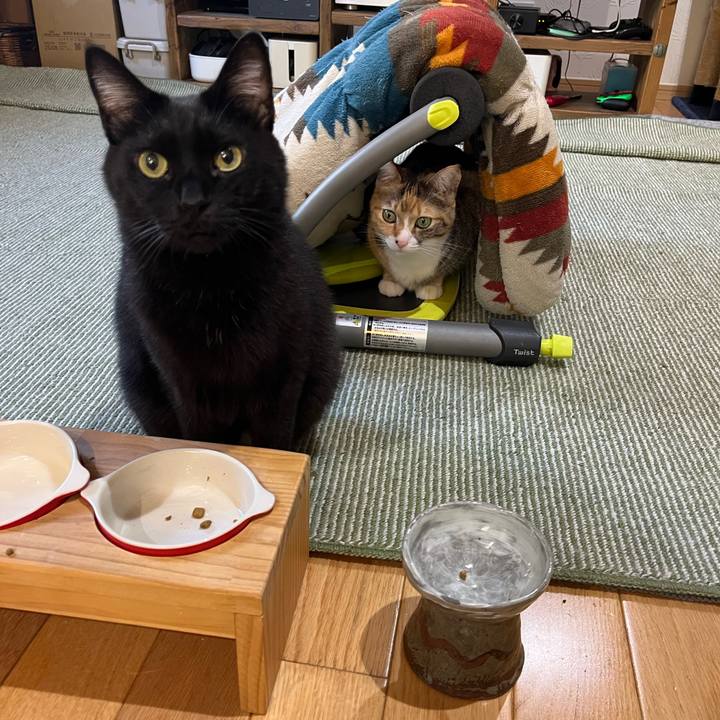 Cf07ac72 37d2 4b5d abec 4cbee7365b83 1736259966325