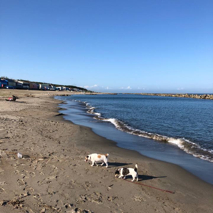 Cf083a4c 8e09 476e 8cb2 ccb8c53eb353 1537660198857