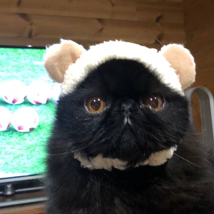 Cf08734e 5aa2 4f7b 8f6d 06b1cfeb3d31 1531663694983