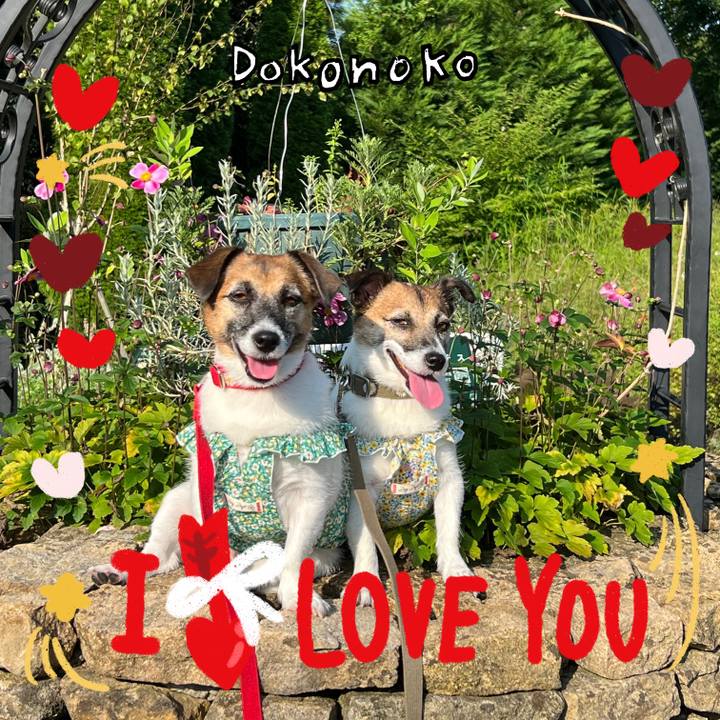 Cf0880b1 ce39 4cfc 89fe e909aff91411 1706794586953