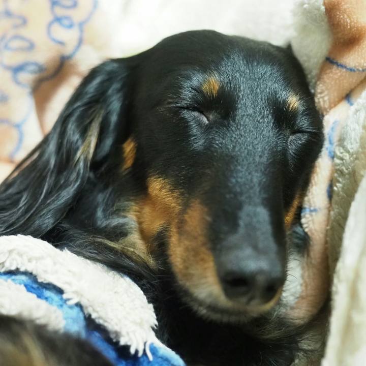 Cf08c69e a9c3 40f0 9136 862c6fe65bd6 1549889192856