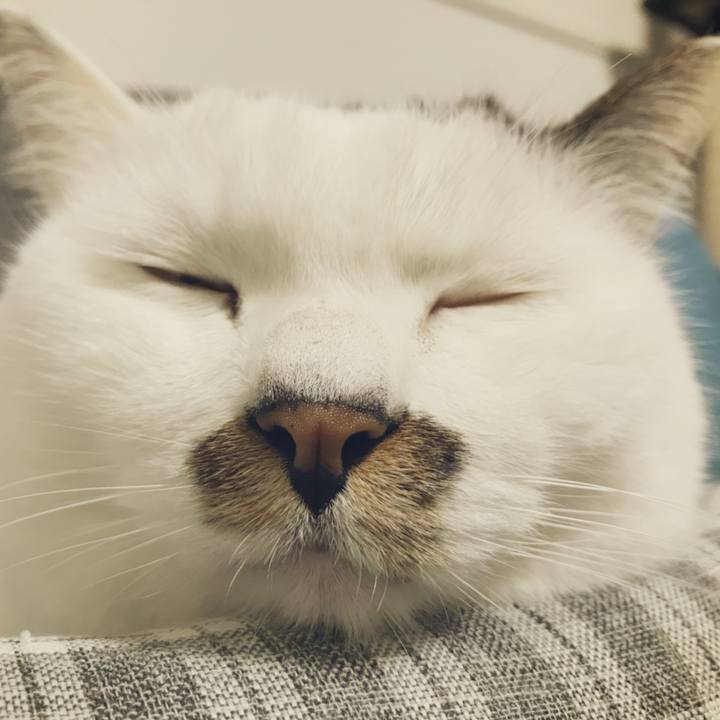 Cf08cc41 ca35 402d 915a 90039b7c8a7c 1512181267256