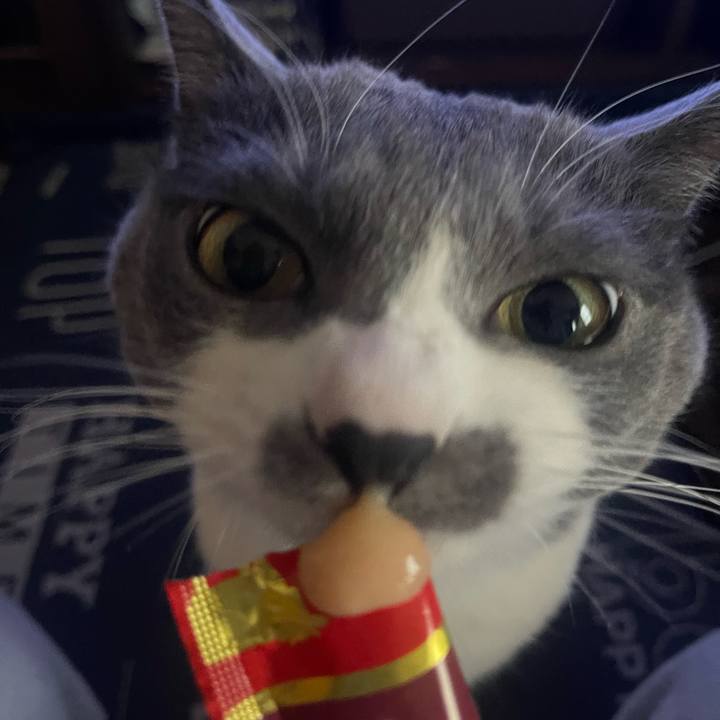 Cf094892 965c 44e3 8e1e aafed9b0f71f 1705736335814