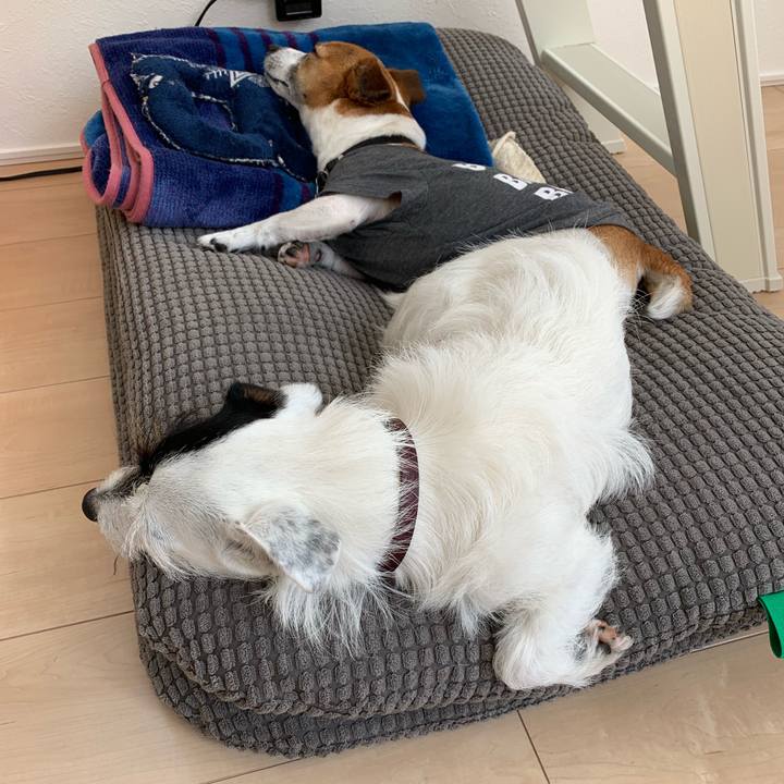 Cf0956c9 0803 4b0b 9791 b9c941aa7768 1557895941450