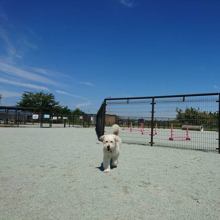 Cf09f77b 6f29 410c 8b41 17c9cd86e7da 1568438392067