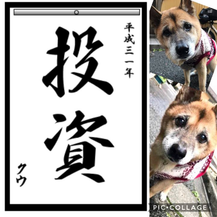 Cf0a0418 07fb 48bf 87c0 c3f389ba98ba 1546484107978