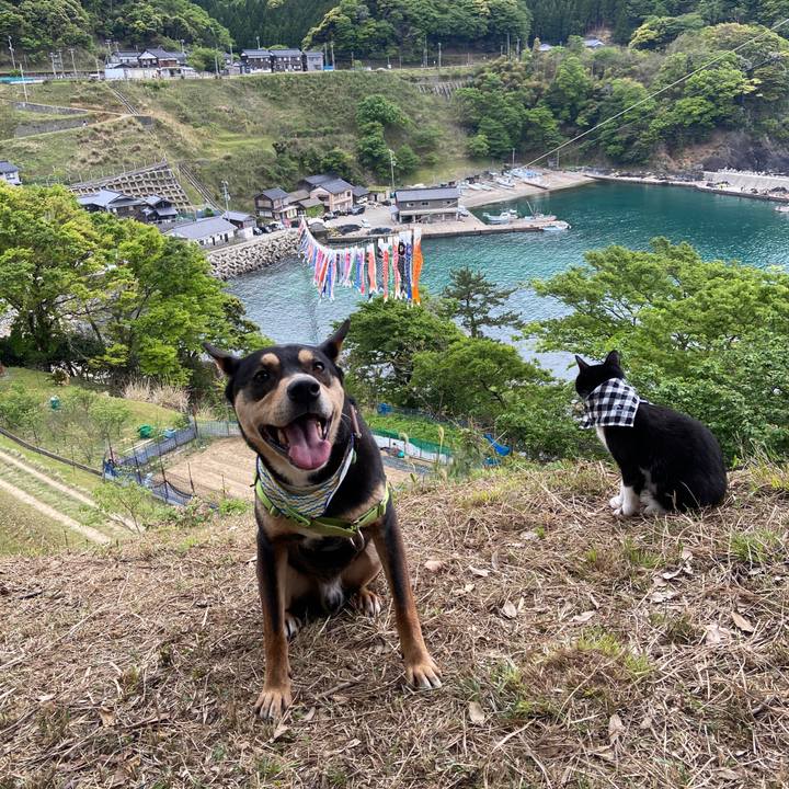 Cf0a256e 501b 496a 8e32 c50c5c743782 1620141456843