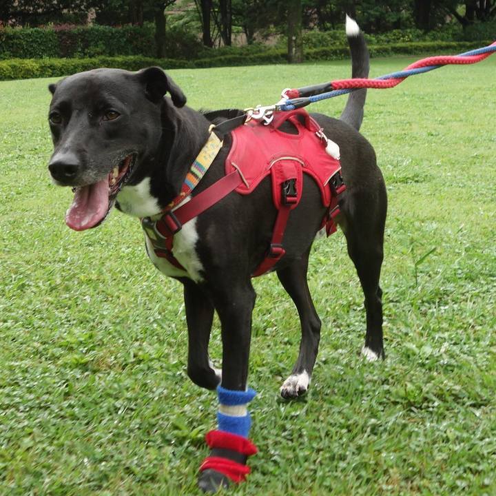 Cf0a2b55 fe75 445e 9de2 cbce8020e6f2 1624144748268