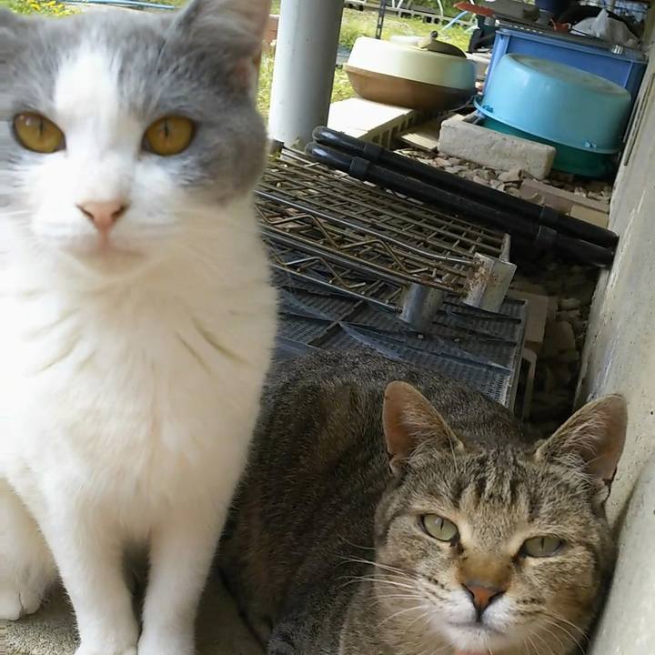 Cf0a6fbf d076 4b82 9263 fa7daa0179c6 1524027946455