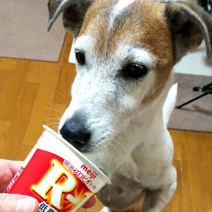 Cf0a7611 9e2e 4557 93a7 c662948e13f4 1548800243870