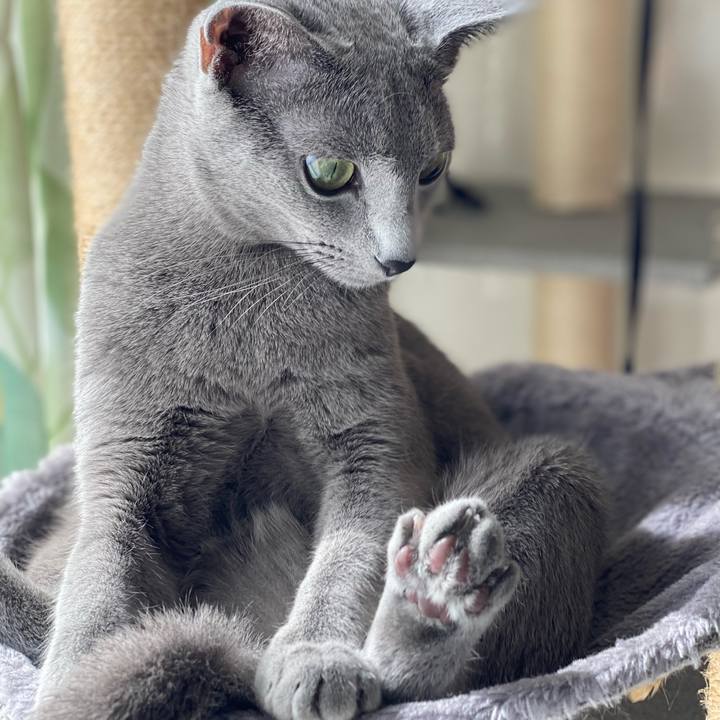 Cf0a7eb8 e269 4f6c b387 f24056108eb1 1636102867024