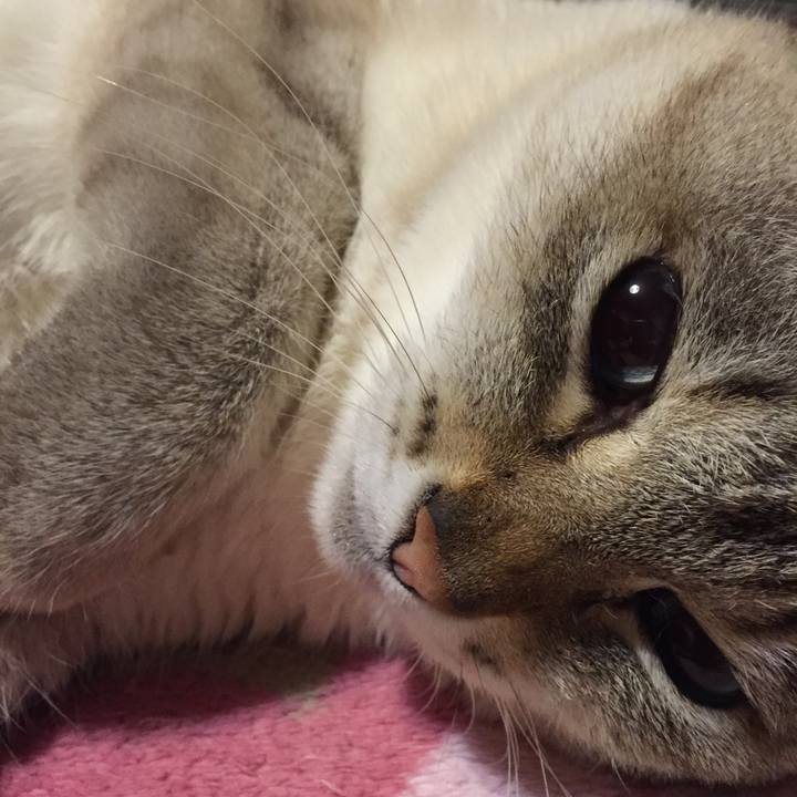 Cf0a968f fedf 4f44 92ba c2d72f3fe93f 1518519000757