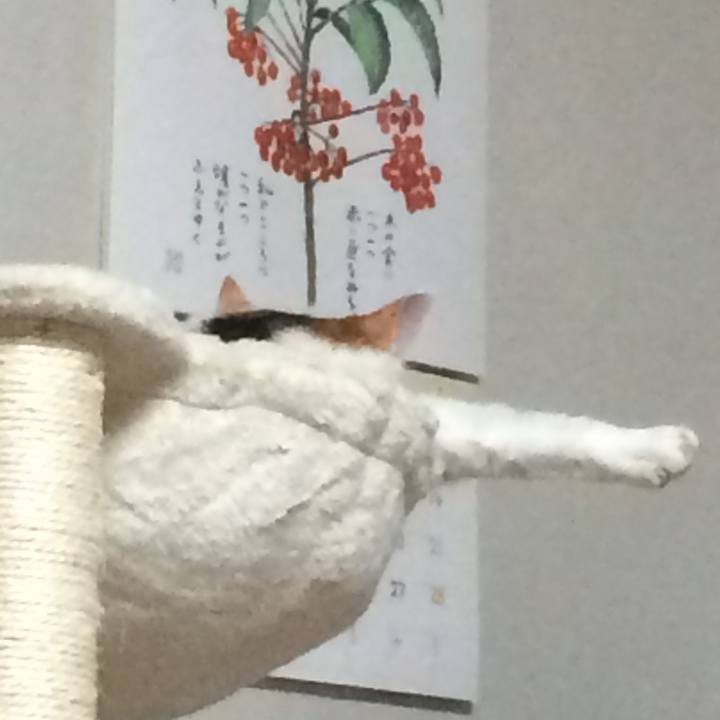 Cf0ab2e5 861a 43ce 9749 8f448b0f3583 1525781539554