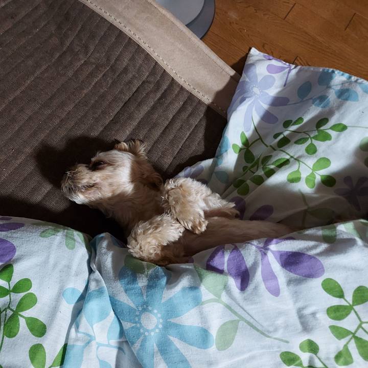 Cf0ac6e8 0118 45db bd7d ac376a830408 1628318108991