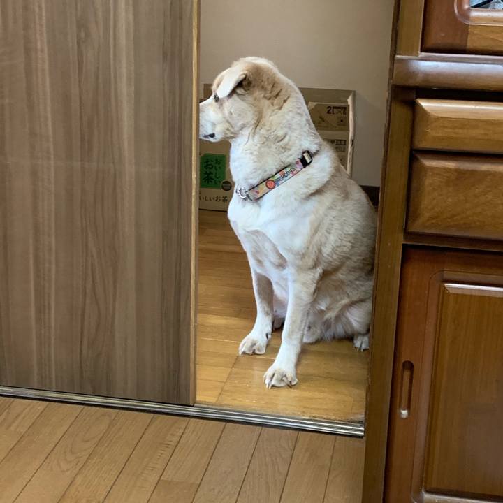 Cf0aca13 1bea 4742 995e 663d7ac3f193 1551412603984