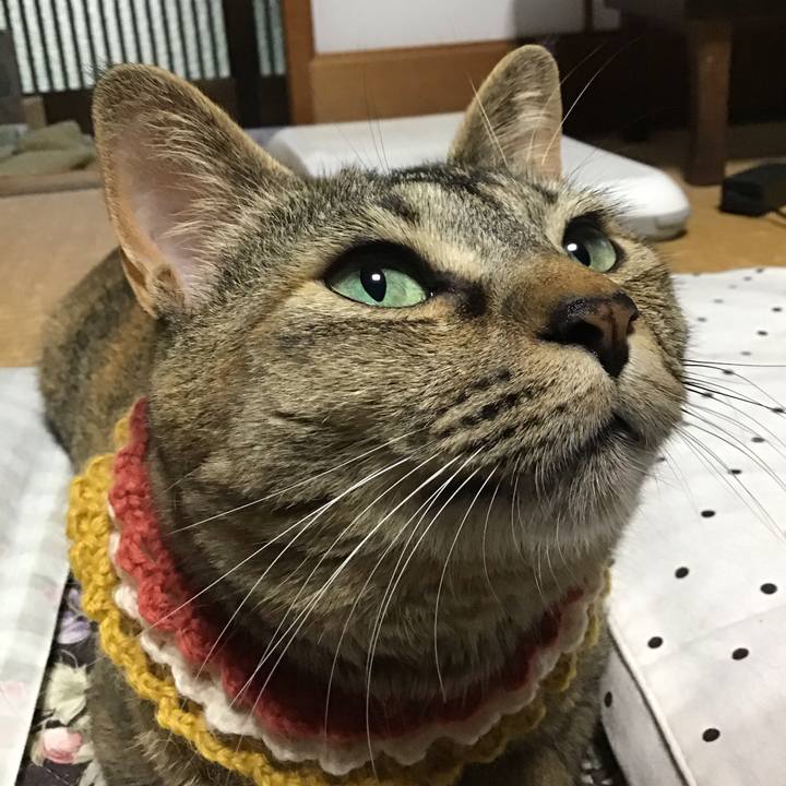 Cf0ad7e0 95ce 4c76 9283 fe1a68cfb8c1 1622628131798