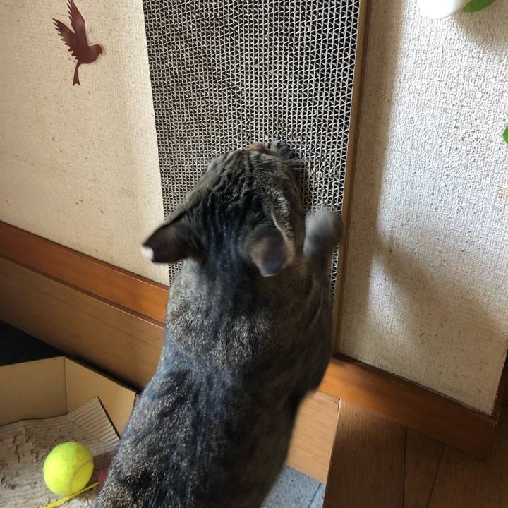 Cf0aec02 ed0f 4e4a 8918 f5b209476c14 1598748419608