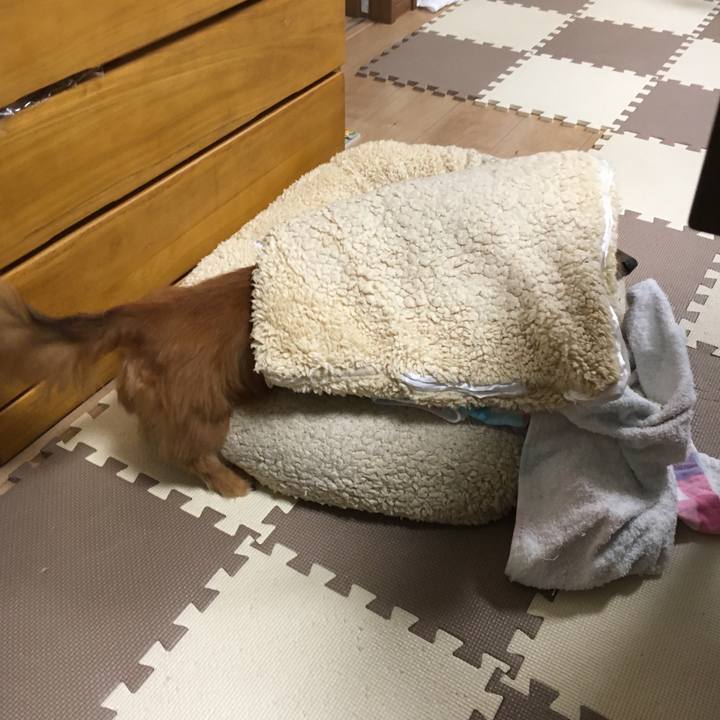 Cf0af845 c727 4674 a59d df847cd8afca 1595935467627