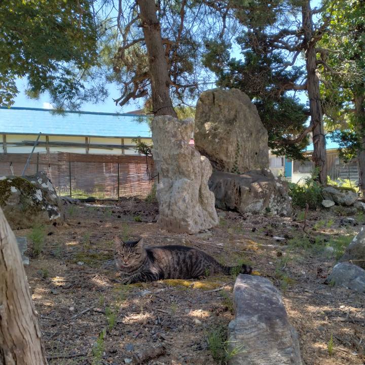 Cf0af907 8181 4095 a604 10e9af1647f9 1692847854244