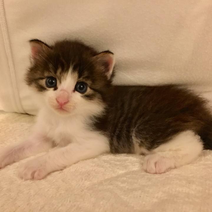 Cf0b03b2 bba2 41d8 82d6 8543b7be818c 1696394394432