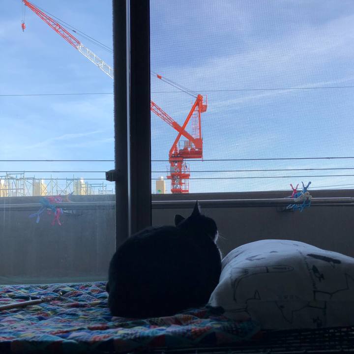 Cf0b37fd 431d 4b78 a7f1 4cf505d6d3ce 1520438264850