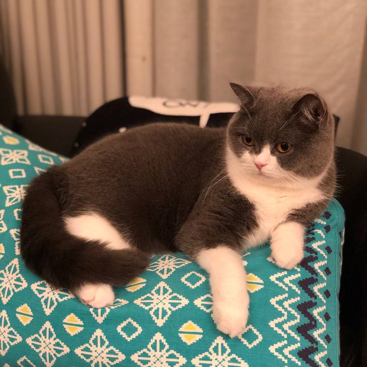 Cf0bb48f 3d41 4c41 8ef0 f807befb80e0 1548163526357