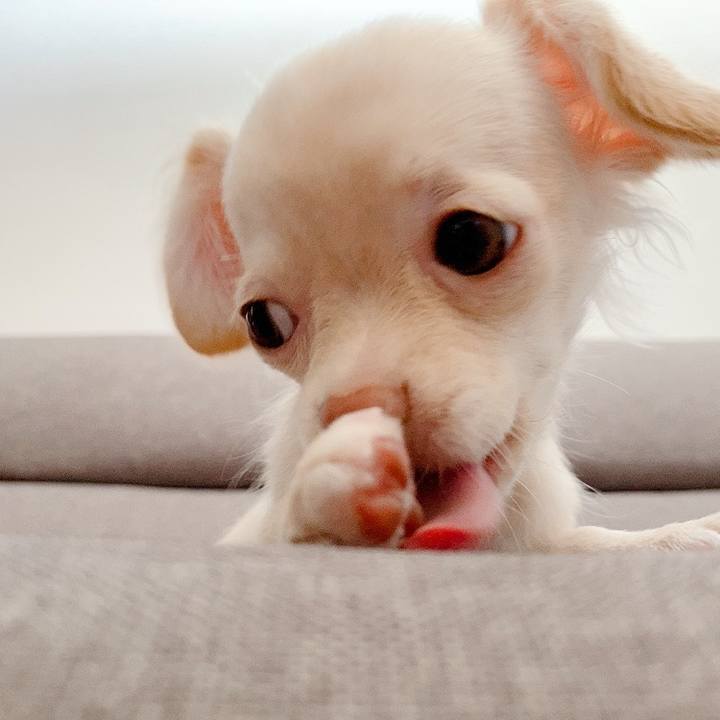 Cf0bd3a4 9716 4978 93dc 36fa9246805c 1592378203706