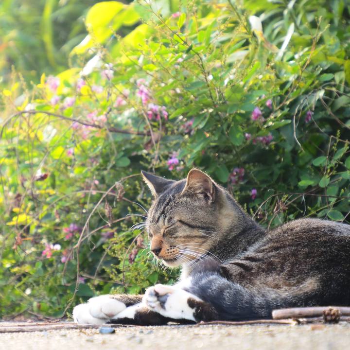 Cf0bdac5 4411 45bf a999 fd723ca8b14f 1600762848493