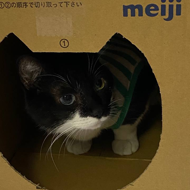 Cf0bf667 5e1f 4607 b4ac 2810b543c45e 1598186044596