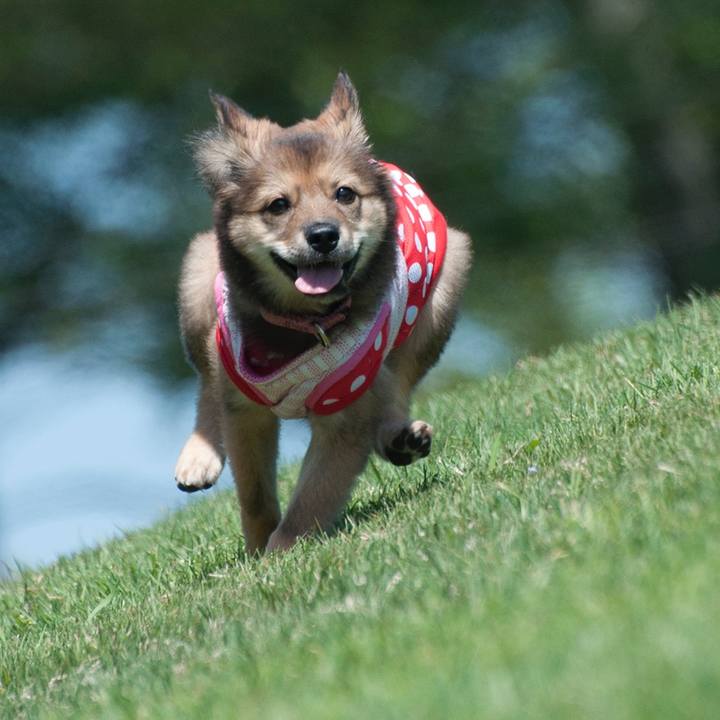 Cf0c0e02 7eb5 4bd9 8862 55b34e9e662a 1525165529897