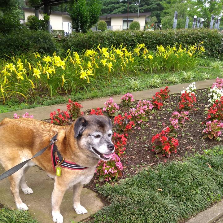 Cf0c0f30 3f22 4b36 9390 a968d82cf3a9 1562110927448