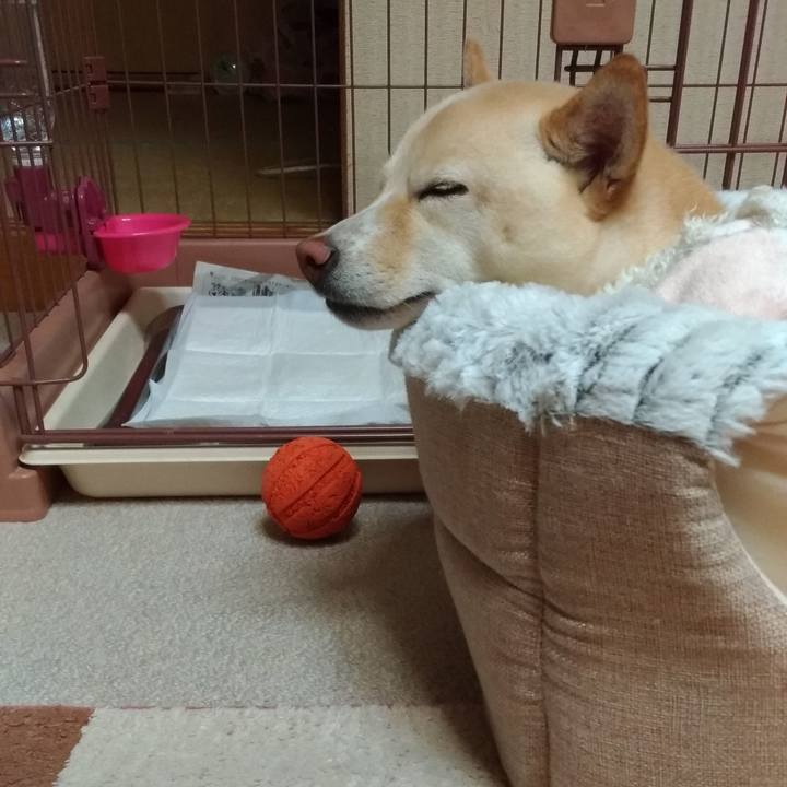 Cf0c1520 bae1 4563 a4f8 932b6fb00fb0 1579868647587