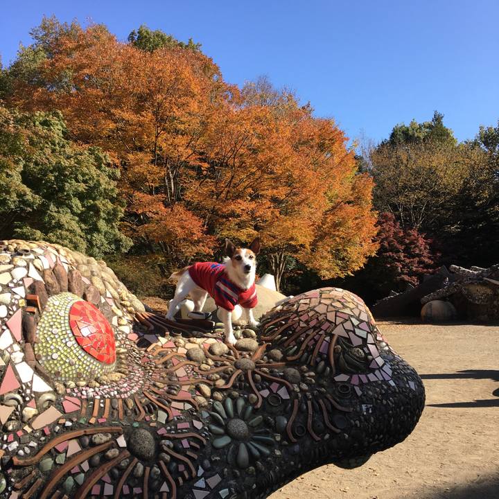 Cf0c2a3d 00cb 4679 b278 d02eabd22342 1605482582569