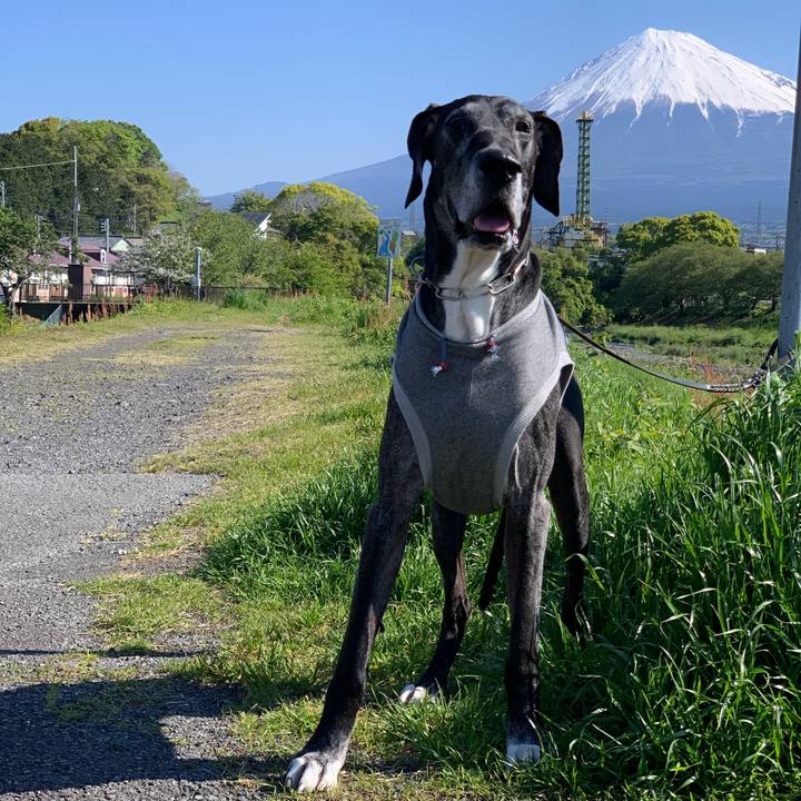 Cf0c39a6 07c5 4ed6 8439 85c247bcef34 1587778888826