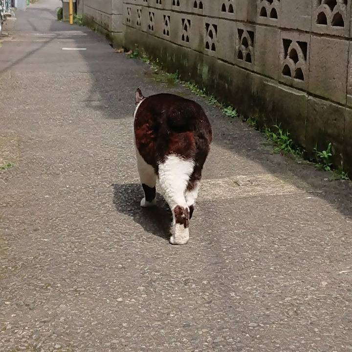 Cf0cdecb 99e0 4021 9101 e0377ada606f 1687650750762