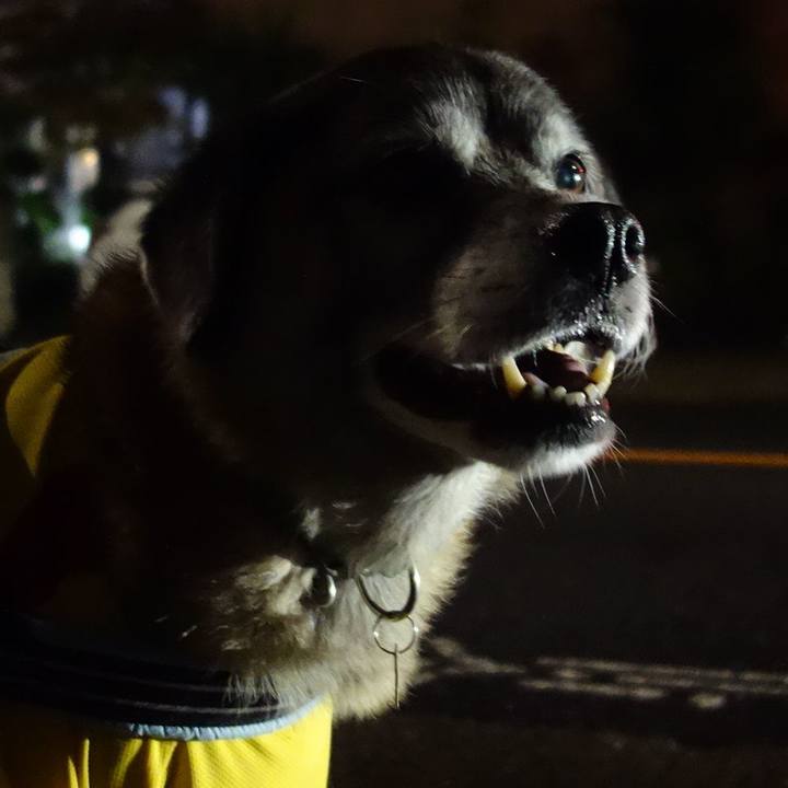 Cf0cf2de 5501 4396 8aff 6f103726da42 1571317354079