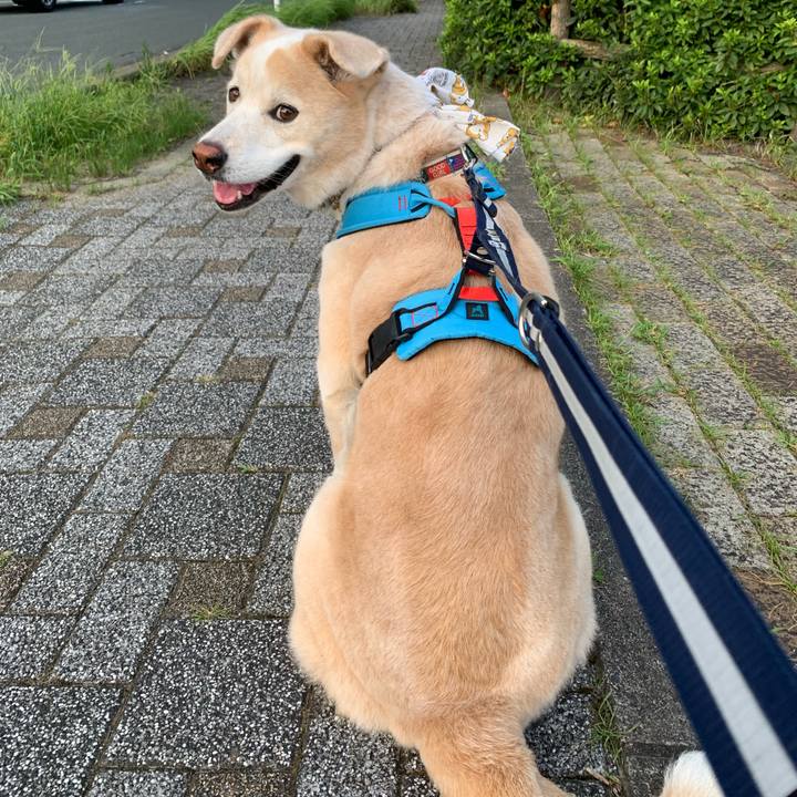 Cf0d22f0 def1 4022 b920 0e5c6ee91ea6 1660953853143