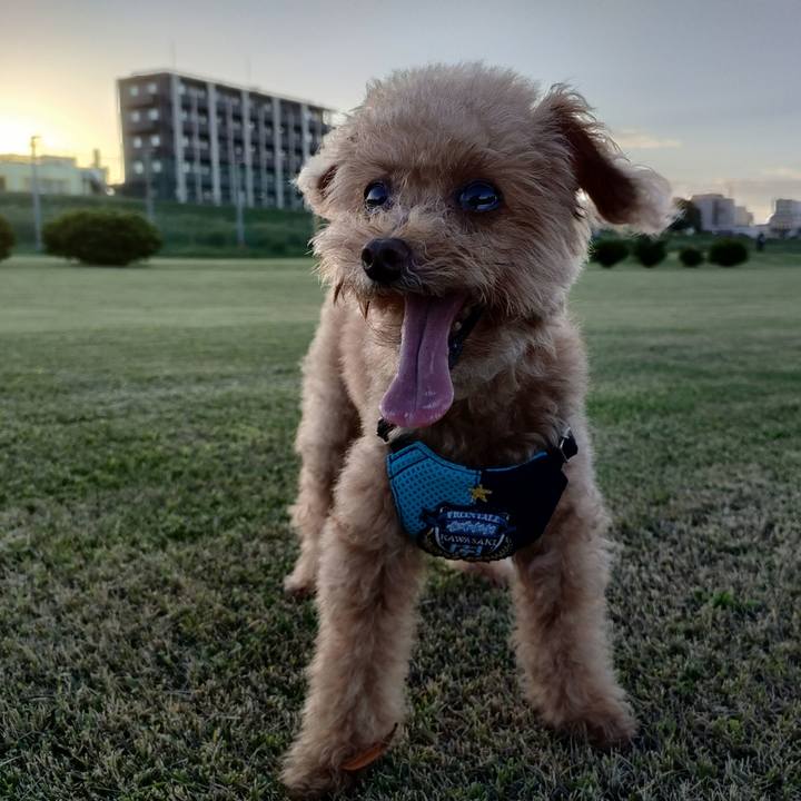 Cf0d2c1d e159 4610 9cf9 4d9e35288f9d 1629298571074