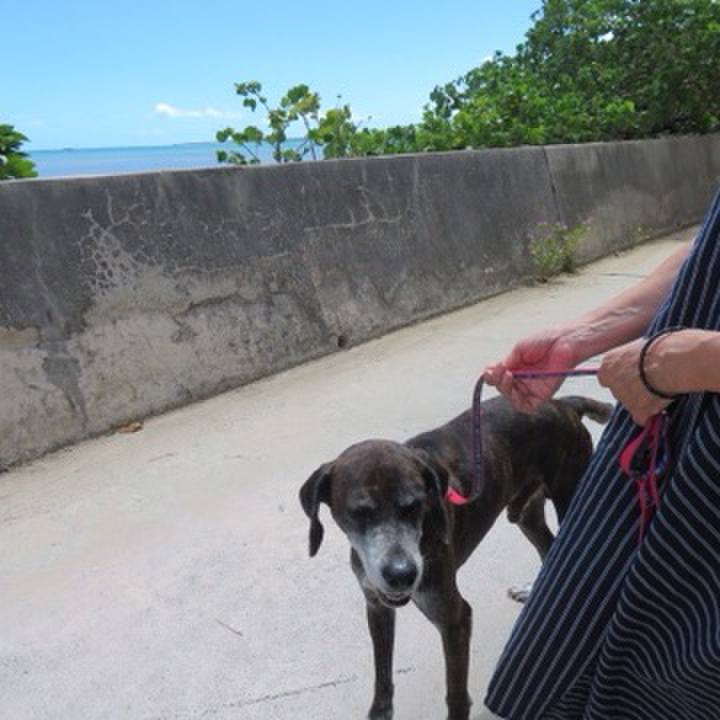 Cf0d5dc4 4a6c 44de a3bd 41a4ec1e920b 1596880400689