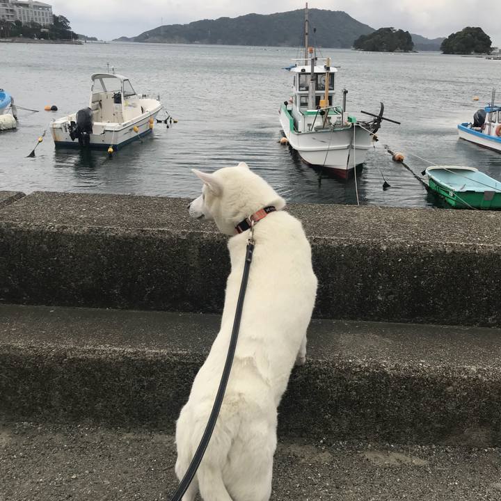 Cf0db31c 1e97 4c2b 9c0a 3f5549e0fdf5 1523755061402