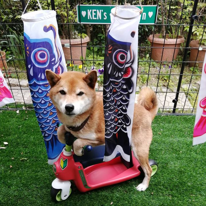 Cf0dc738 9729 479a 917f 6c77b13b77ea 1619333620324