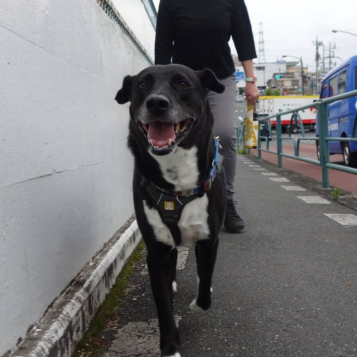 Cf0de448 5d40 413d be25 46a9ee1afa7c 1654734318155