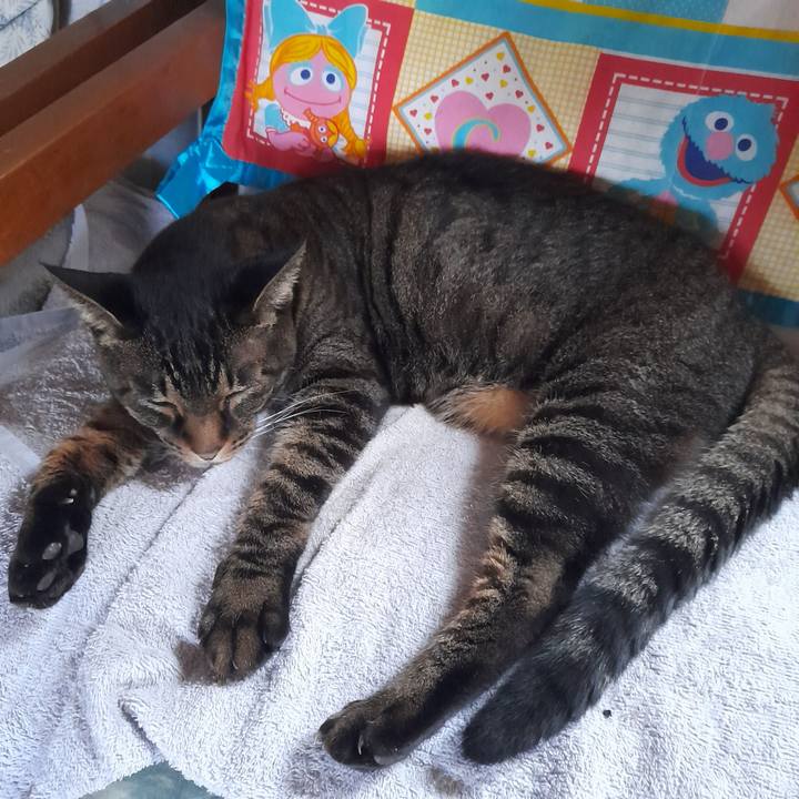 Cf0dfeee 5b5c 4424 9fef ac38a8181471 1768437258832