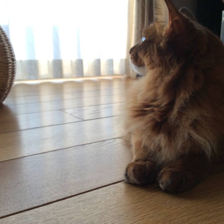 Cf0e0208 3b94 47d2 ad7b e905756c5f00 1604791791628